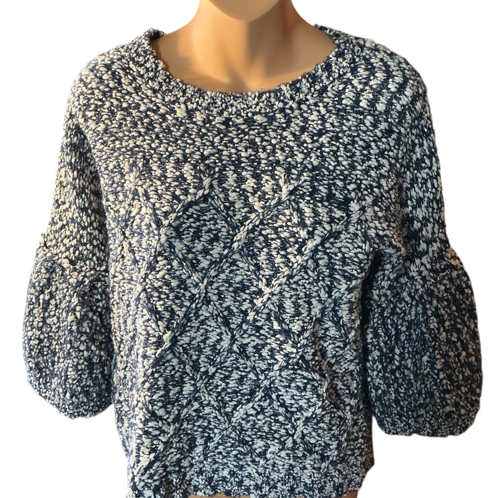 Moth Blue and White Sweater